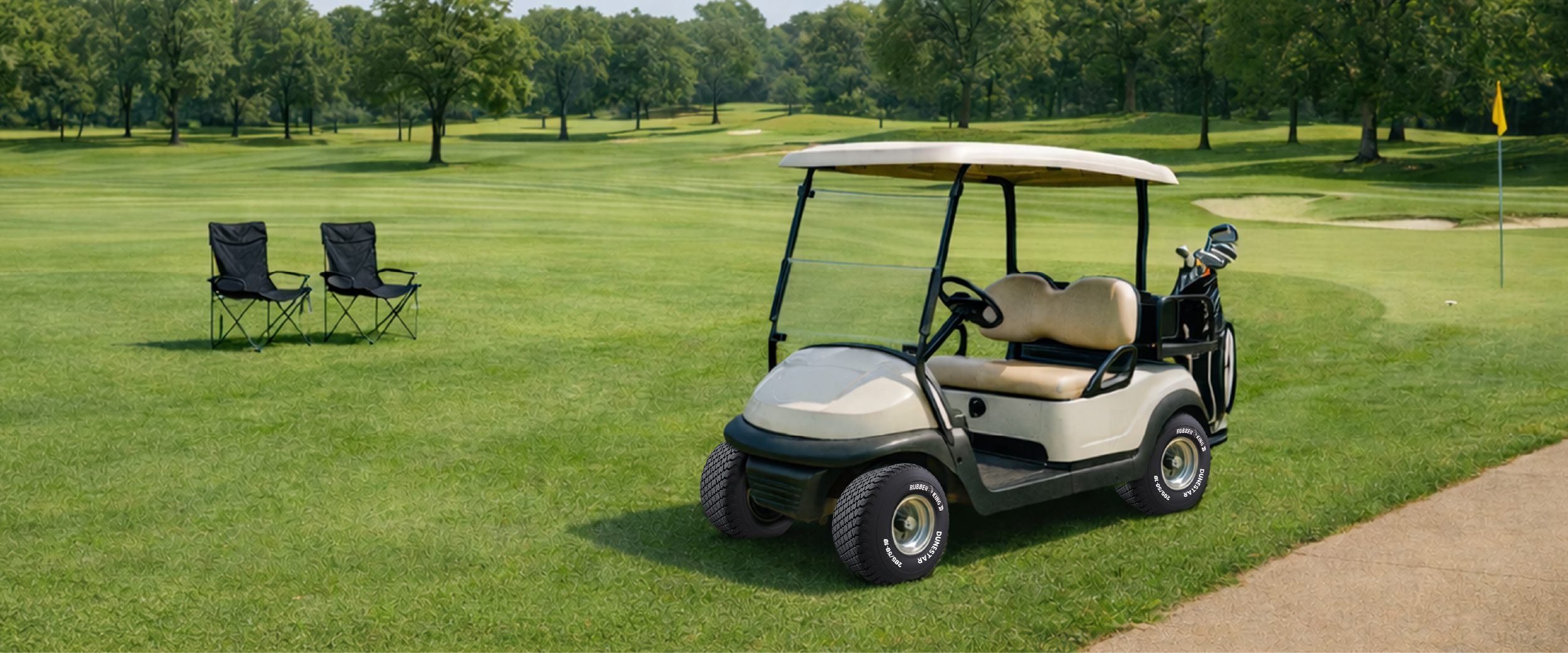 Golf Cart int